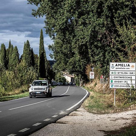 Le Cisterne B&B Amelia Dış mekan fotoğraf