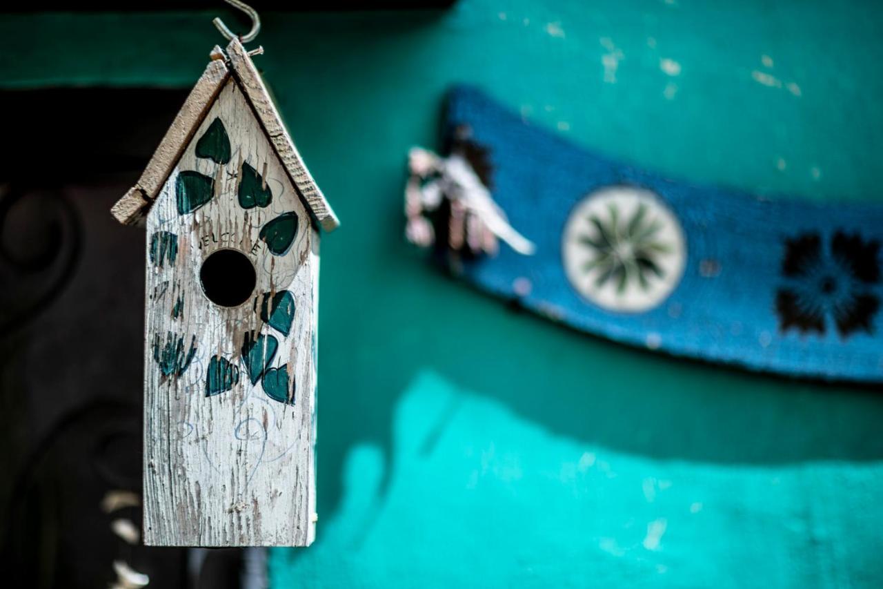 Le Cisterne B&B Amelia Dış mekan fotoğraf