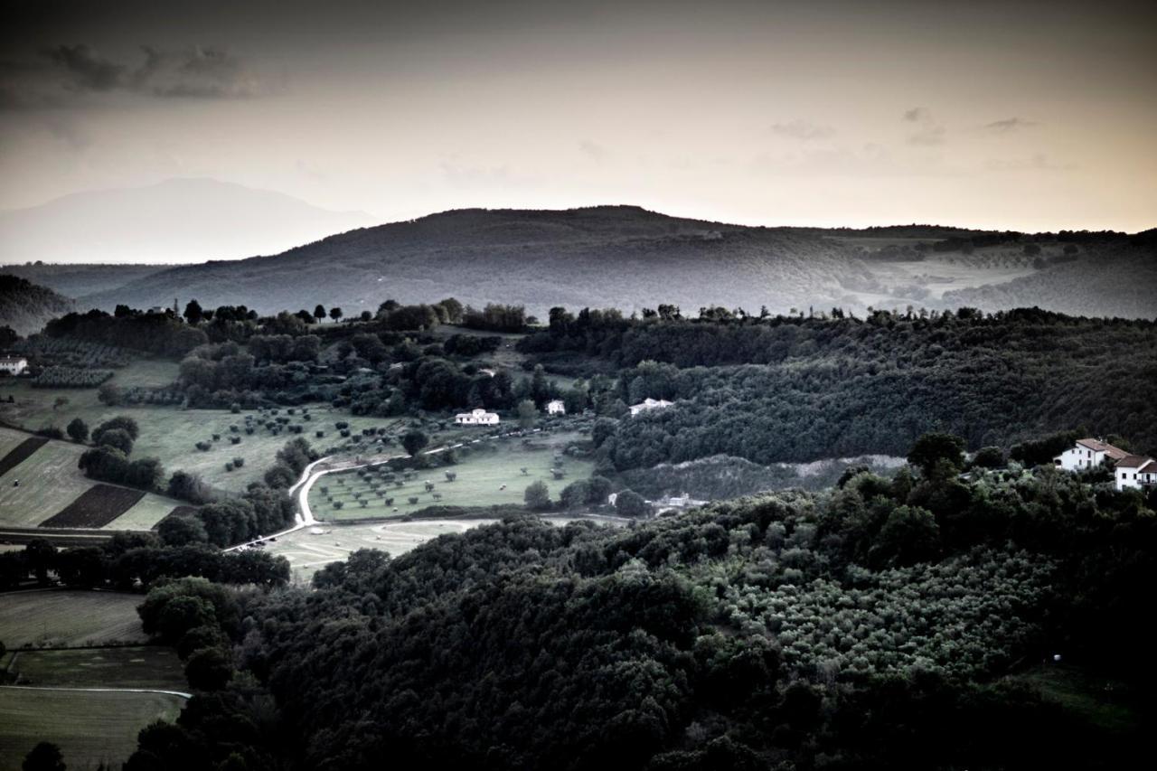 Le Cisterne B&B Amelia Dış mekan fotoğraf